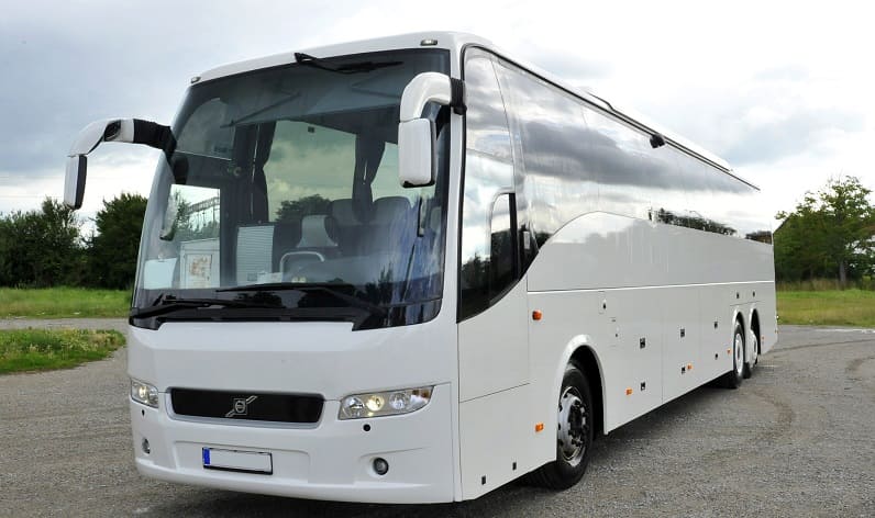 Italy: Buses agency in Veneto in Veneto and Treviso