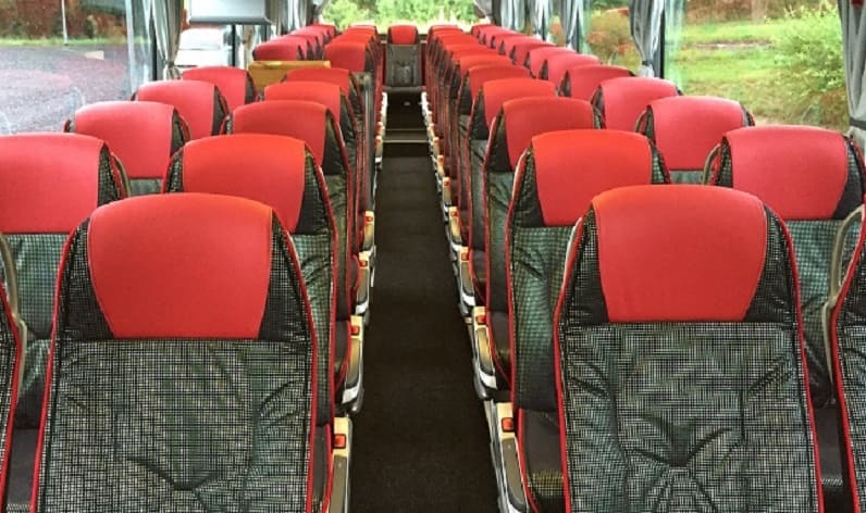 Italy: Coaches rent in Veneto in Veneto and Treviso